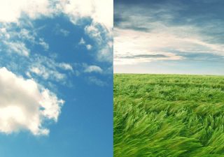 アーユルヴェーダ ヴァータ - 風のように変化が激しく不規則になりがち