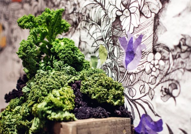 マクロビオティックは玄米菜食が掟？いえ、バランスこそが本質です