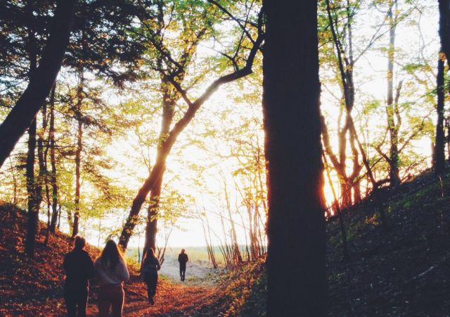 便秘しやすいあなたにオススメ - 中医学に見る秋の野菜と食材
