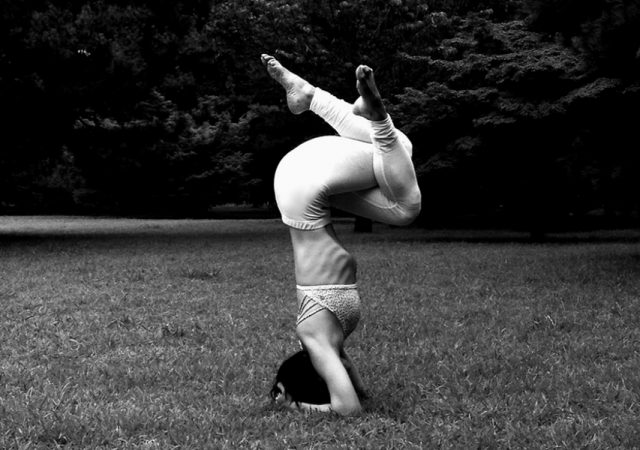 ヨガのアーサナ・瞑想・呼吸法、どう選びどう活かす？