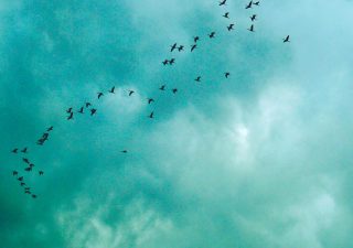 変えようとせず嫌を客観的に受けとめ、受け入れられる日が来るように。