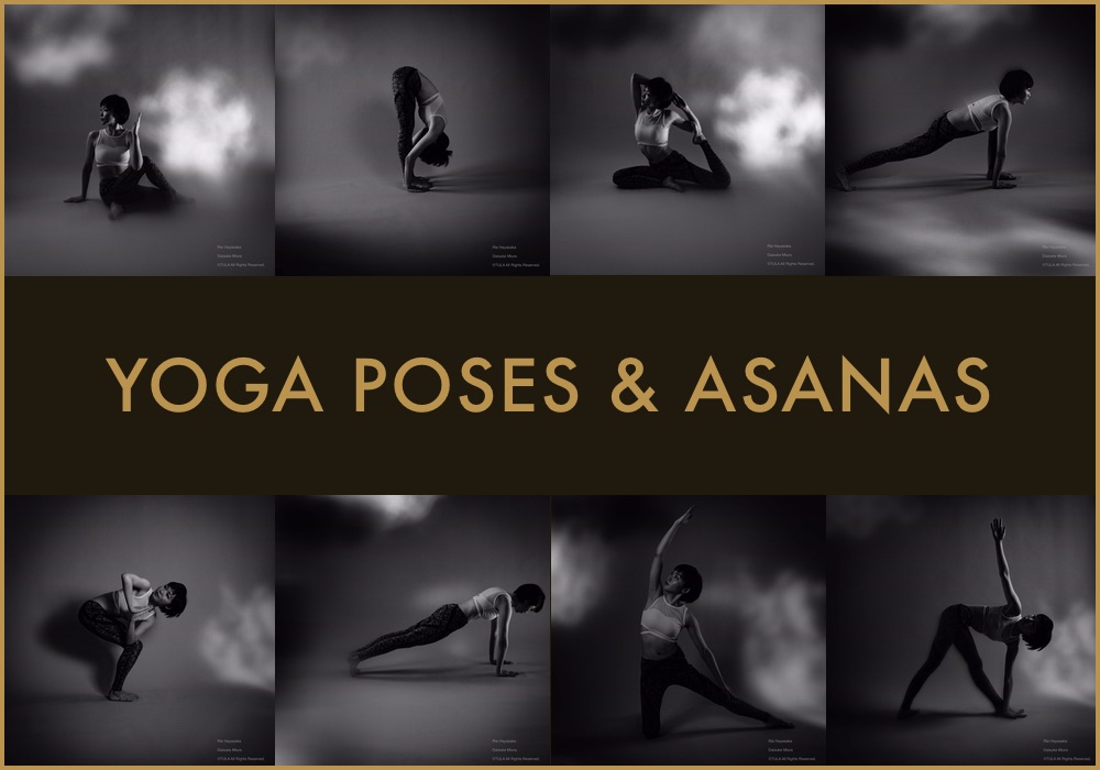 ヨガポーズ（アーサナ）パーフェクトガイド