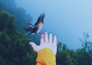 執着の捨て方 – 手放せばすっと楽になる