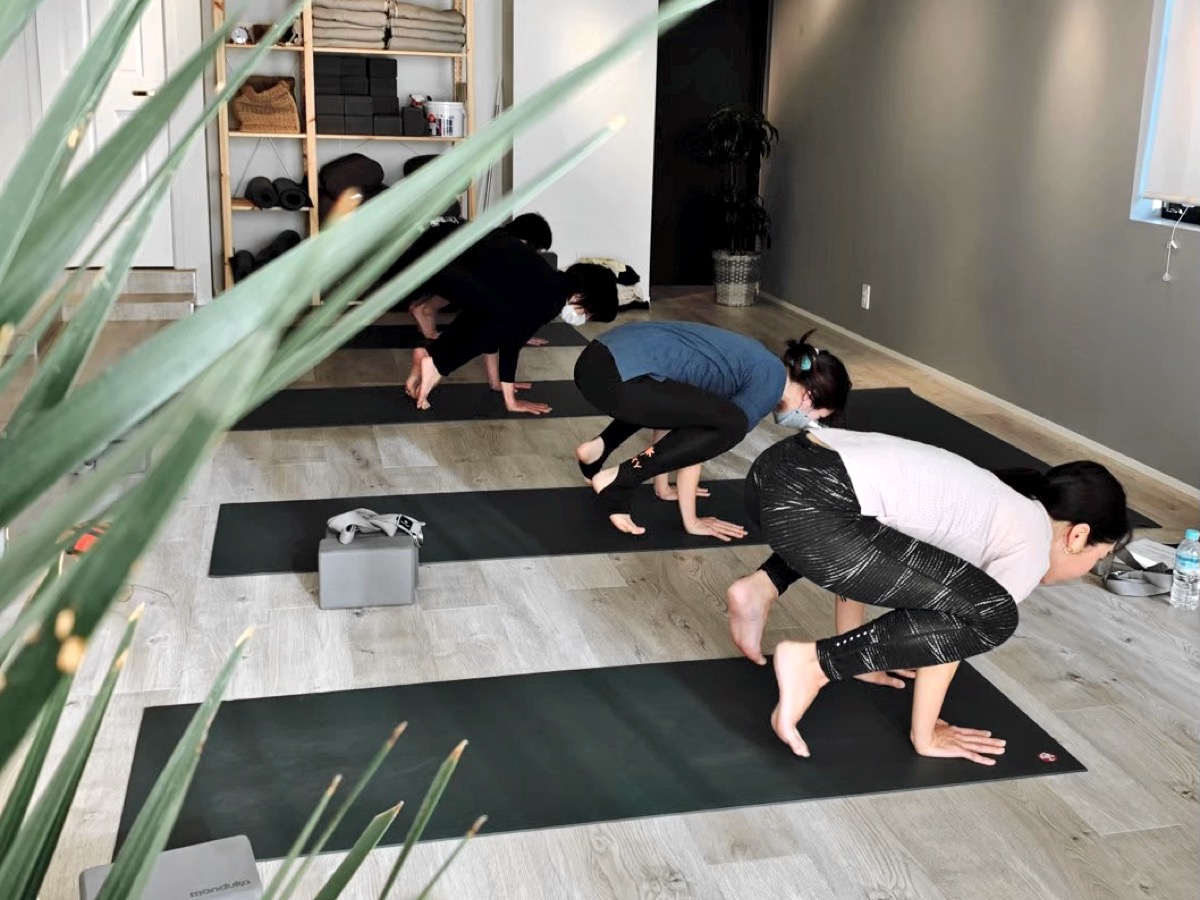 品川区 武蔵小山 ヨガスタジオ Yu Studio - Vinyasa Flow