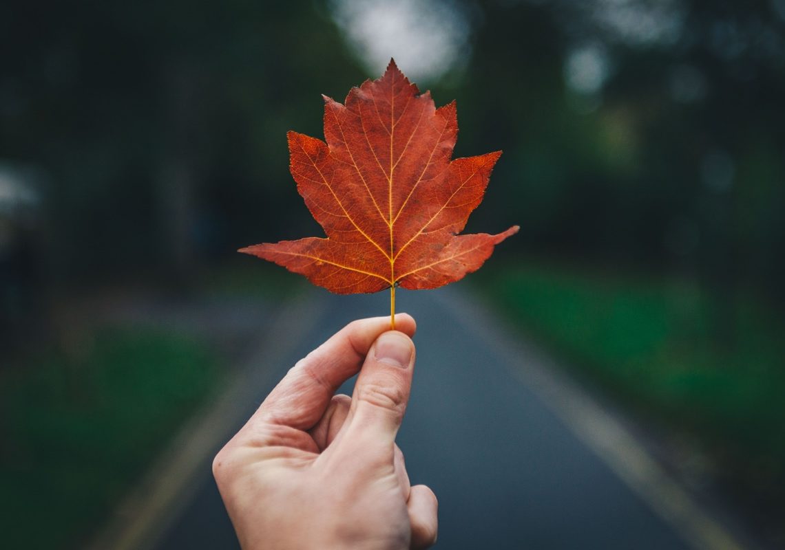 武蔵小山 ヨガスタジオ Yu Studio 9月の通常レッスンスケジュール