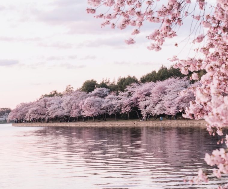 通常クラス 3月のスケジュールを更新