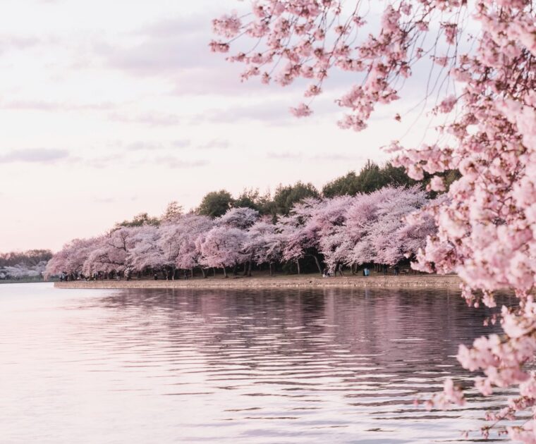 武蔵小山 Yoga & Wellness Yu studio 4月のスケジュールを更新