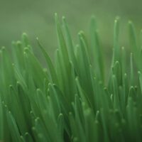 通常クラス 3月のスケジュールを更新