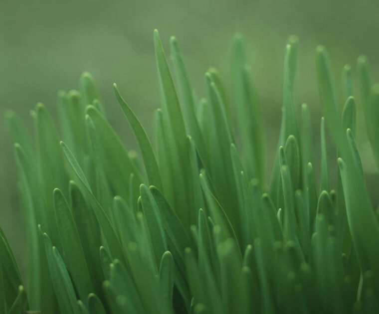 通常クラス 3月のスケジュールを更新